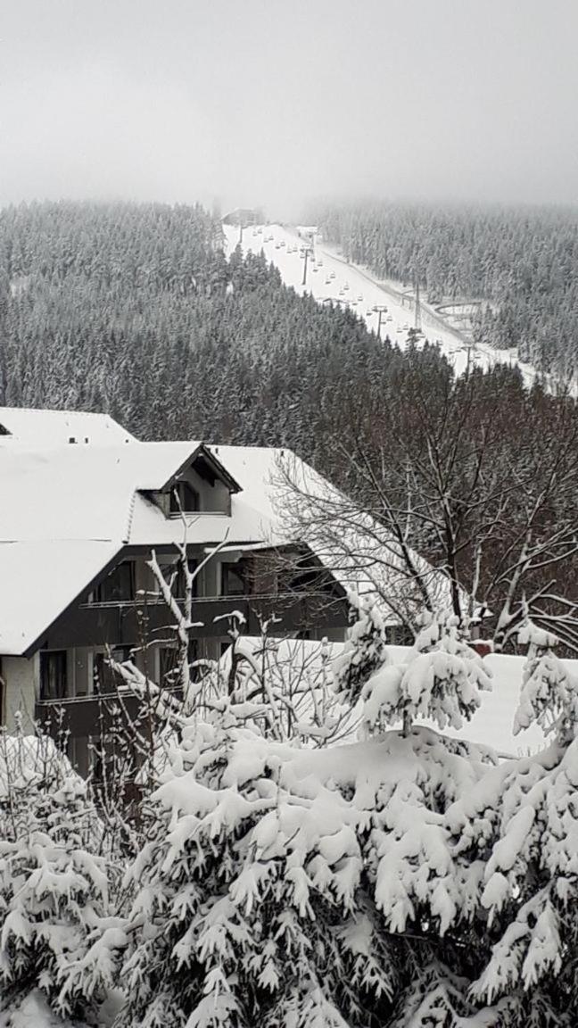Ferienwohnung Steffens Hahnenklee Wohnung 25 Goslar Ngoại thất bức ảnh