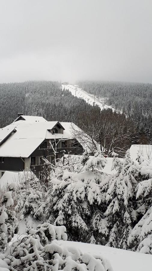 Ferienwohnung Steffens Hahnenklee Wohnung 25 Goslar Ngoại thất bức ảnh