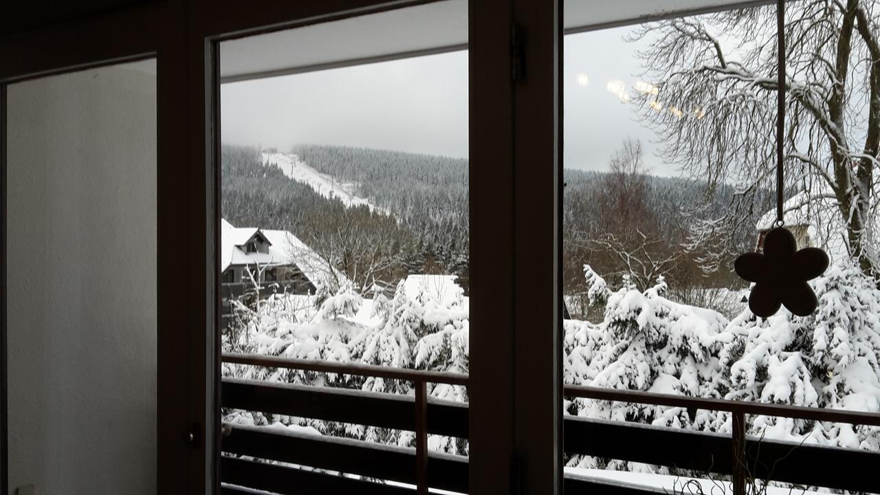 Ferienwohnung Steffens Hahnenklee Wohnung 25 Goslar Ngoại thất bức ảnh